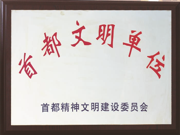 北京保安公司榮譽資質(zhì)